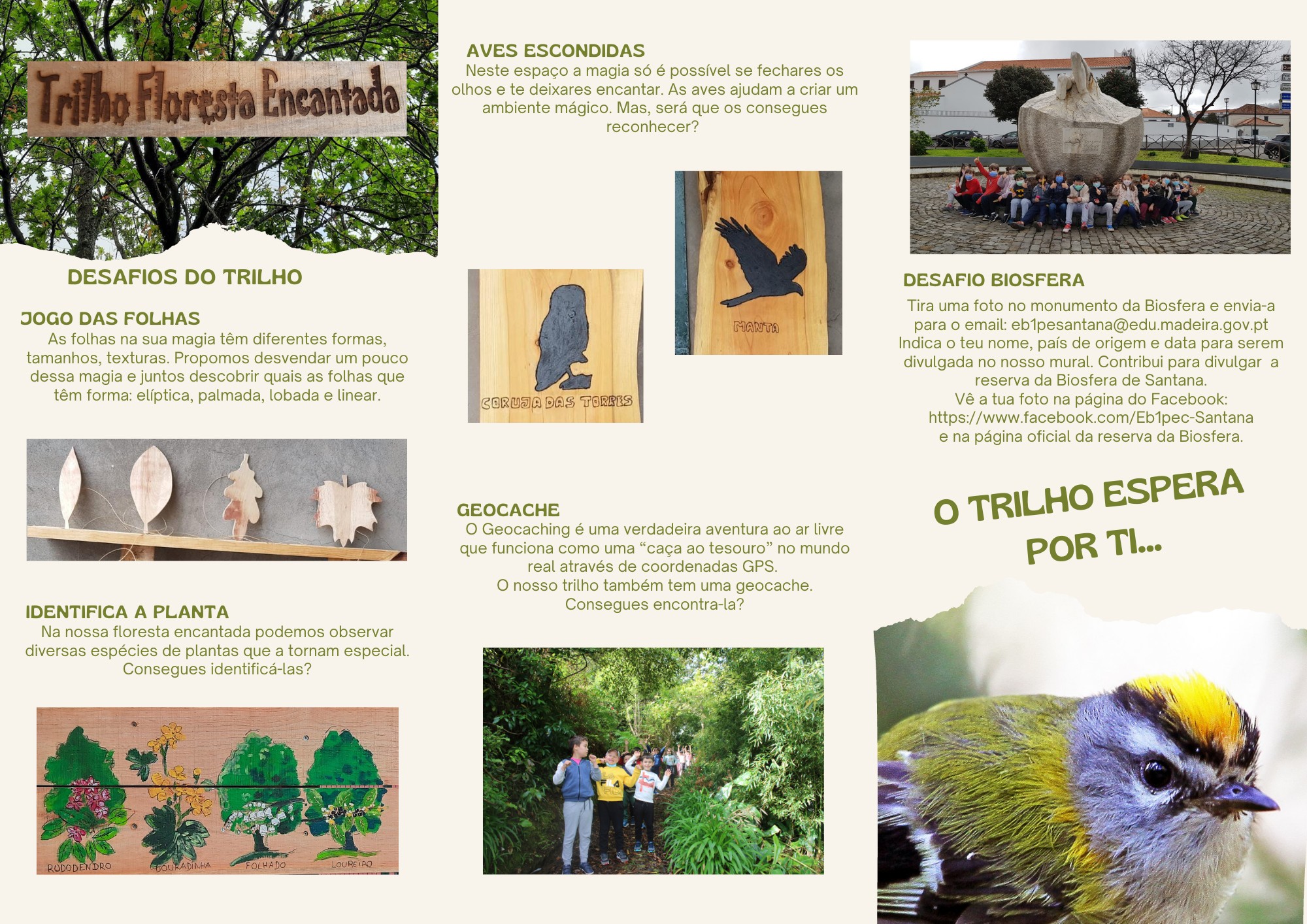 Trilho da Floresta Encantada Trilho_Encantado