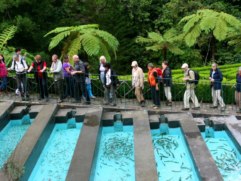 Viveiro de Trutas Viveiro_Trutas