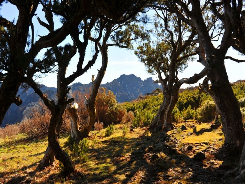 Urzal Maciço Montanhoso Central Urzal_Macico_Montanhoso_Central