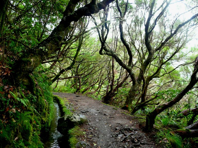 Caldeirão Verde Caldeirao_Verde