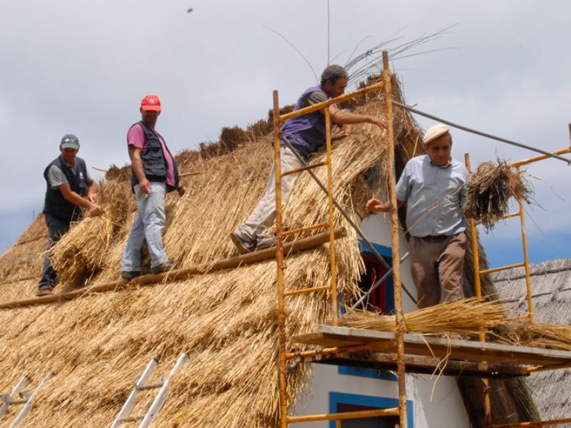 Camadas finais Camadas_Finais