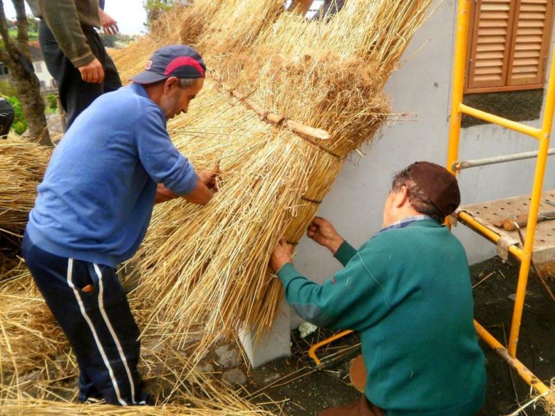 Colocação das primeiras camadas Colocacao_Primeiras
