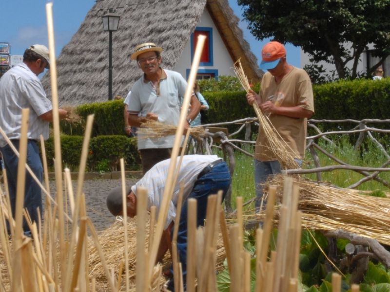 Preparacao da Palha Preparacao_Palha