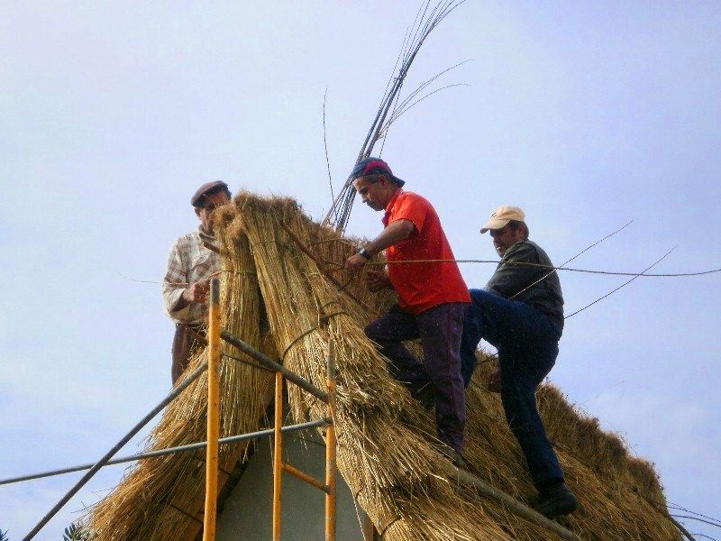 Vime na fixacao Vime_Fixacao