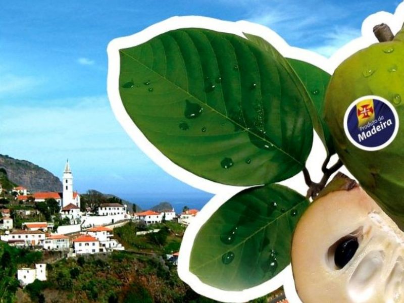 Exposição da Anona Exposicao_Anona