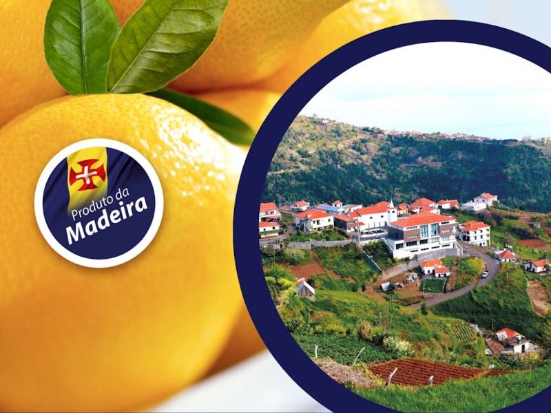 Exposição do Limão Exposicao_Limao