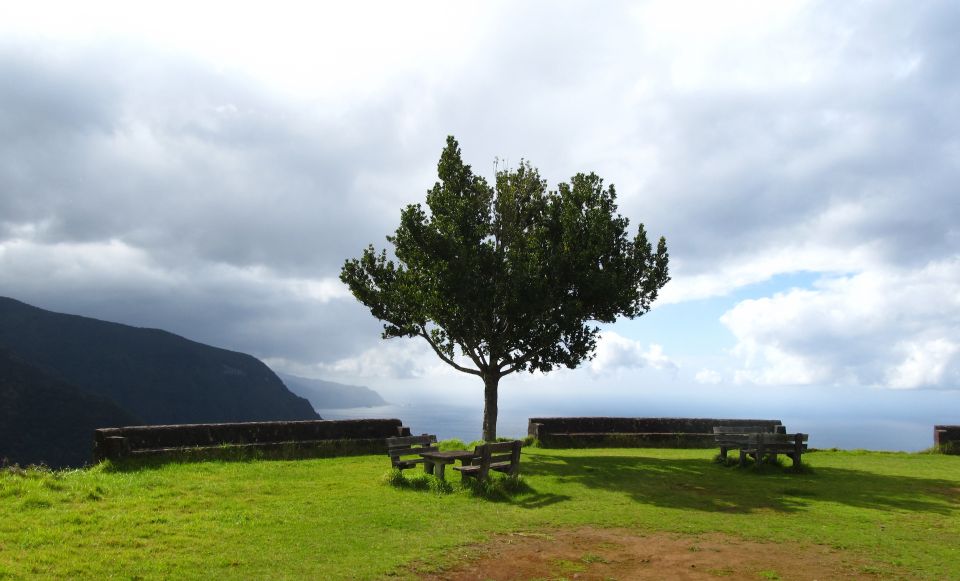Caminho Florestal da Boca das Voltas Caminho_Florestal