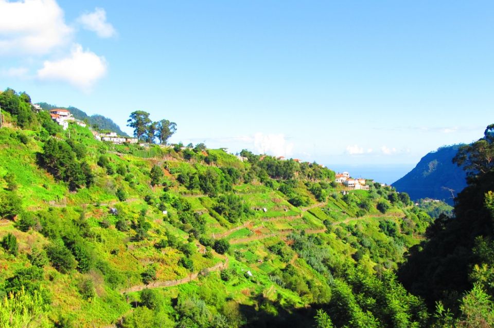 Levada de Baixo e Vereda do Lombo Grande Levada_Baixo