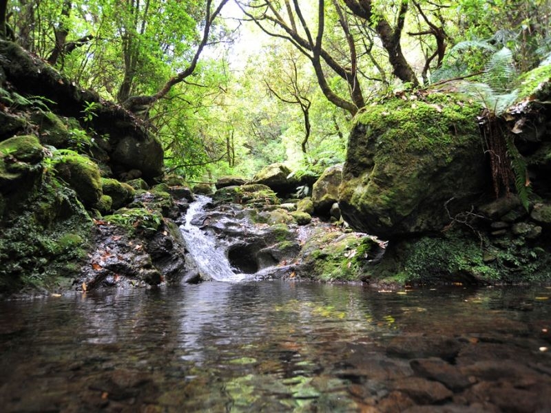 PR18 - Levada Rei PR18_Levada_Rei