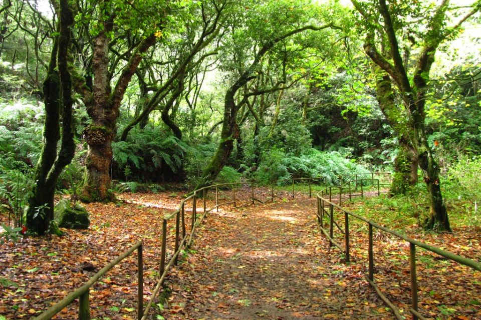 Pico das Pedras - Queimadas Pico_Pedras_Queimadas